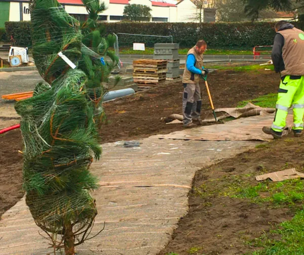 Végétalisation d’un chemin